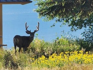 New Mexico State Parks announce free day-use access on Black Friday