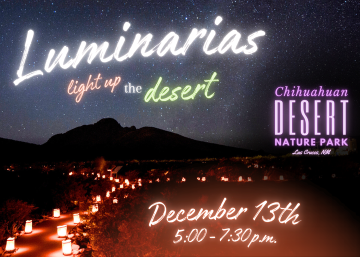 Luminarias to light up the desert at Asombro Institute event